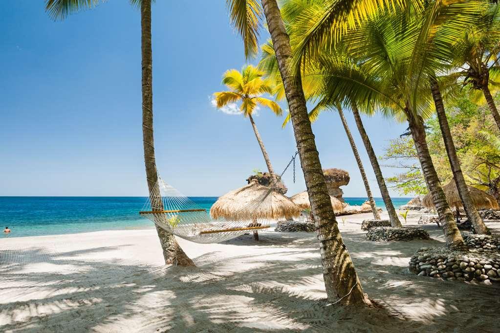 Anse Chastanet Resort Soufrière Natureza foto