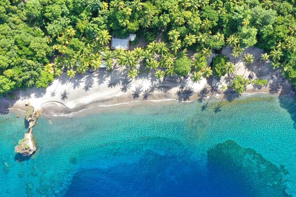 Anse Chastanet Resort Soufrière Natureza foto